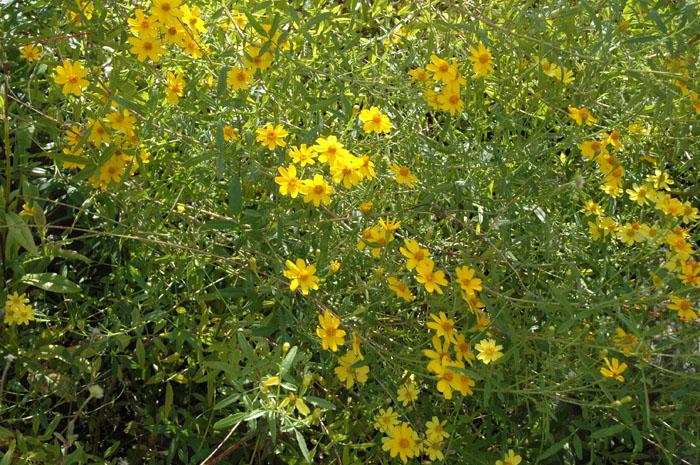 c0107129_1494911.jpg