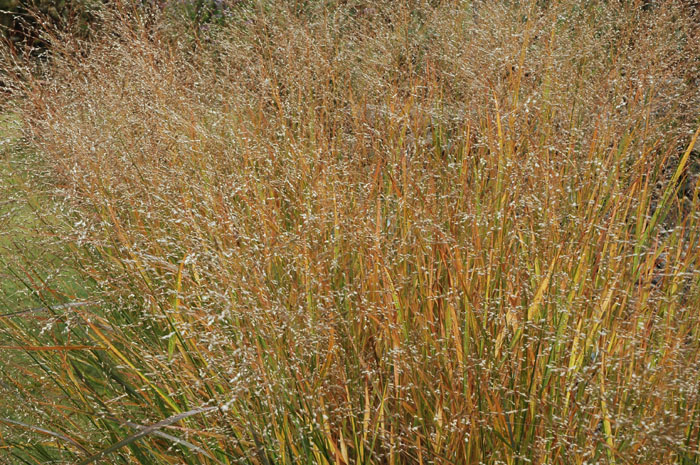 c0107129_1502110.jpg