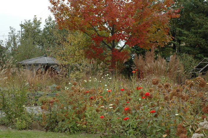 c0107129_1515964.jpg