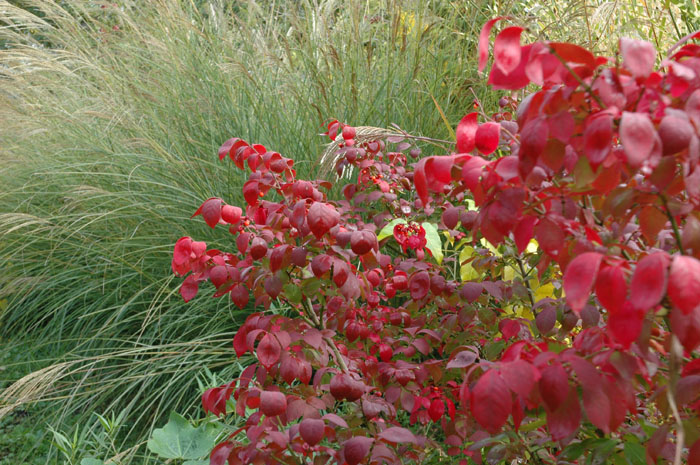 c0107129_151667.jpg