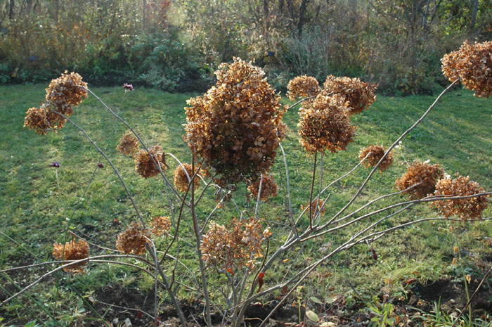 c0107129_23101784.jpg