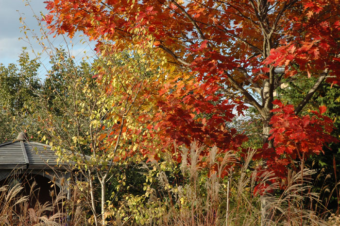 c0107129_235577.jpg