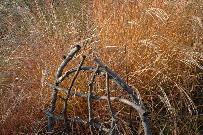 c0107129_236411.jpg