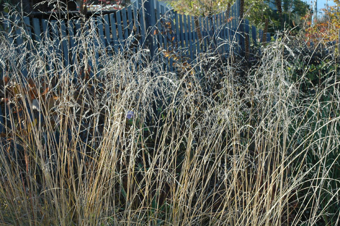 c0107129_2374825.jpg
