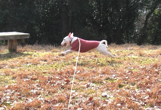 c0192330_11134260.jpg