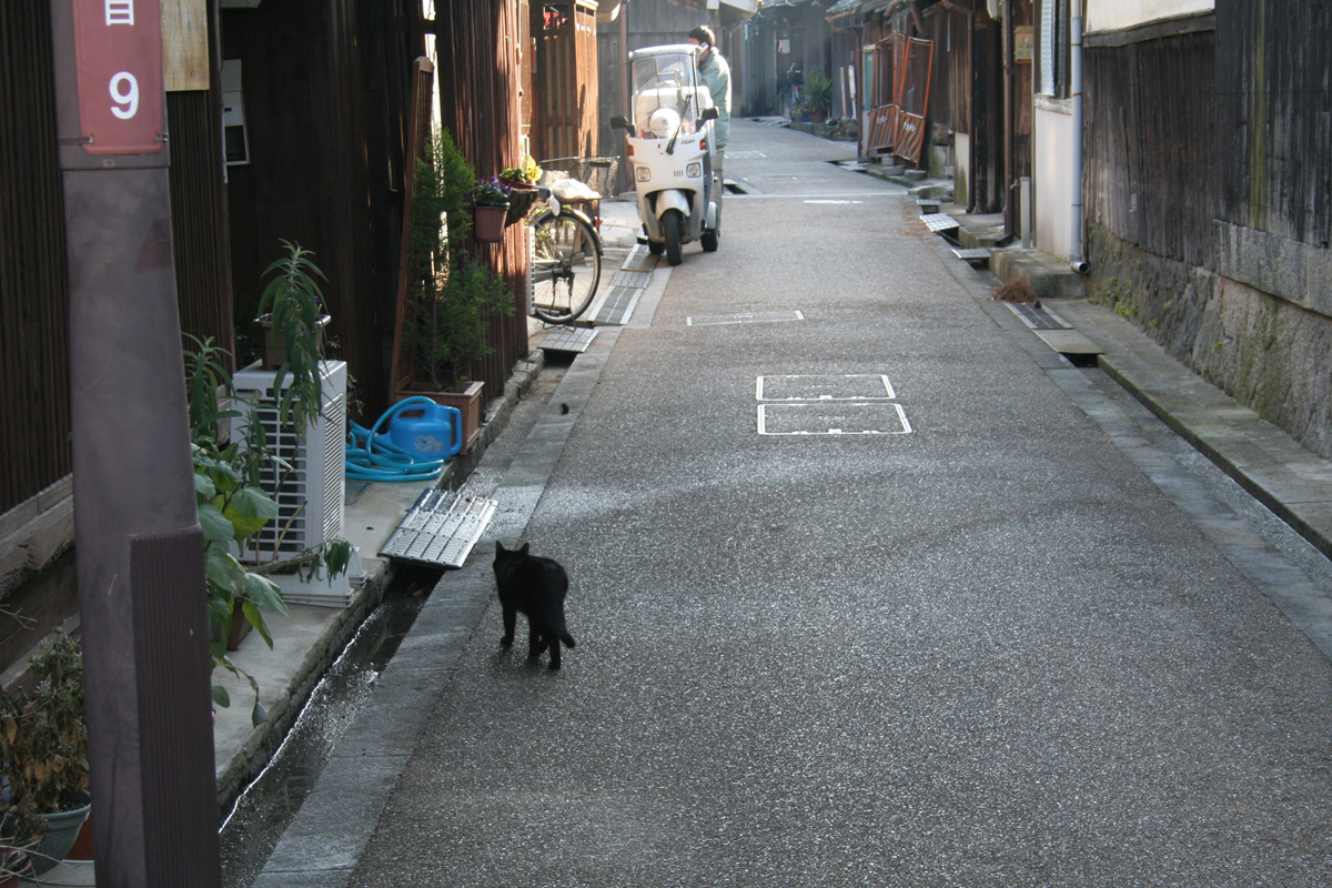 c0073633_22185787.jpg