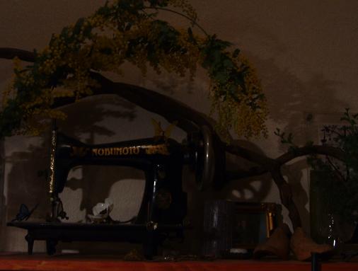 b0072234_20475724.jpg