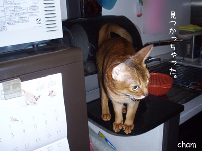 c0132438_2233666.jpg