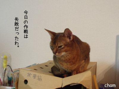 c0132438_2243186.jpg