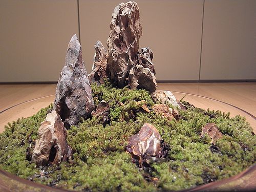 e0149241_0151782.jpg