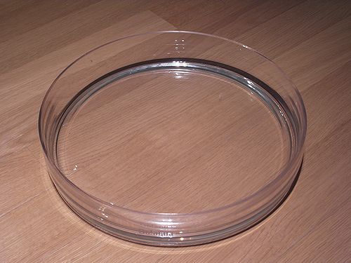 e0149241_021731.jpg