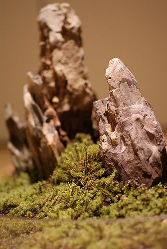 e0149241_023356.jpg