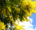 c0156749_18204833.jpg