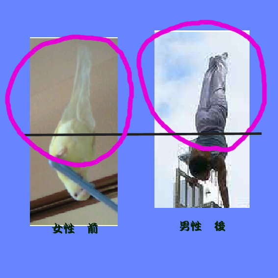 d0075649_12333677.jpg