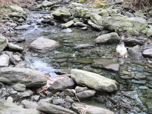c0179351_17235914.jpg