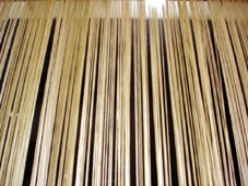 d0029958_204114.jpg