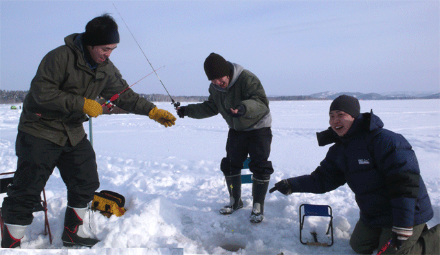 f0163063_14203393.gif