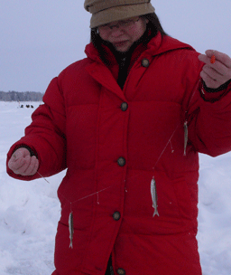 f0163063_14405217.gif
