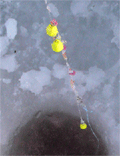 f0163063_1617746.gif