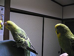 f0196665_0453730.jpg
