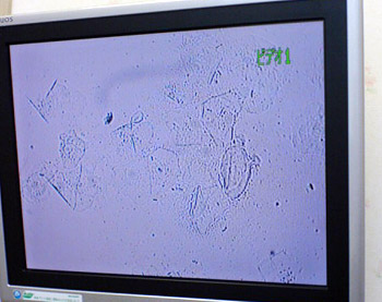 a0118270_18211760.jpg
