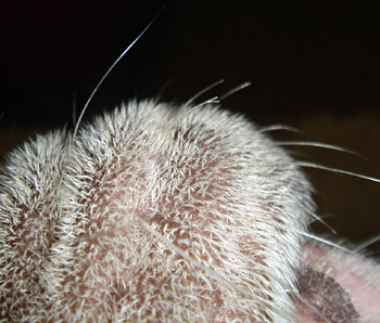 a0118270_2041597.jpg
