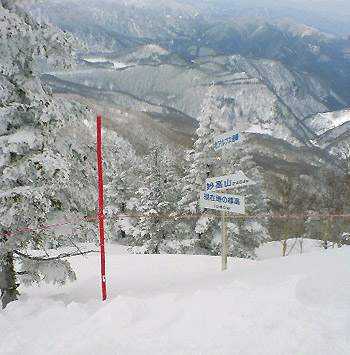 a0118270_23295368.jpg