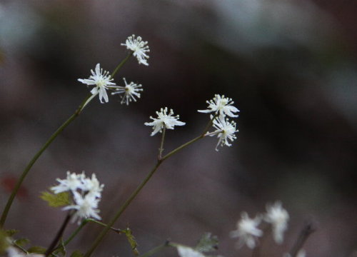 f0181173_22221649.jpg