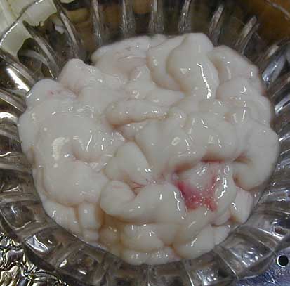 e0126576_12105244.jpg