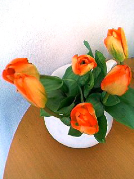 f0054677_1245420.jpg