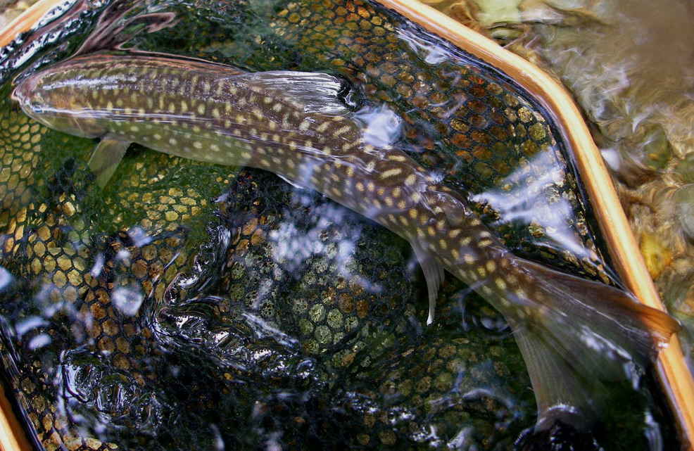 c0197578_285796.jpg