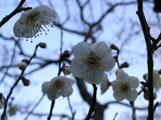 c0027181_22161426.jpg