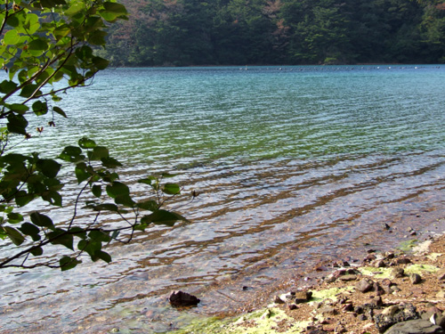 e0028387_23391282.jpg