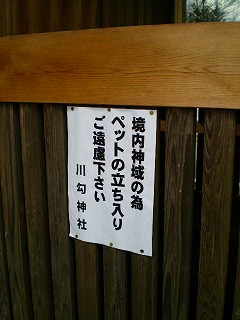 e0123587_16442459.jpg