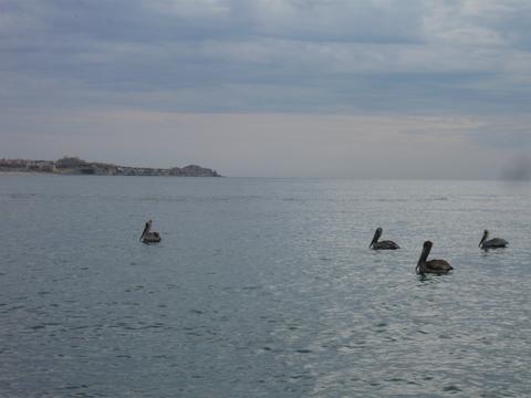 f0181488_11102530.jpg