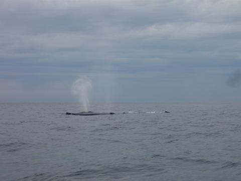 f0181488_11211659.jpg