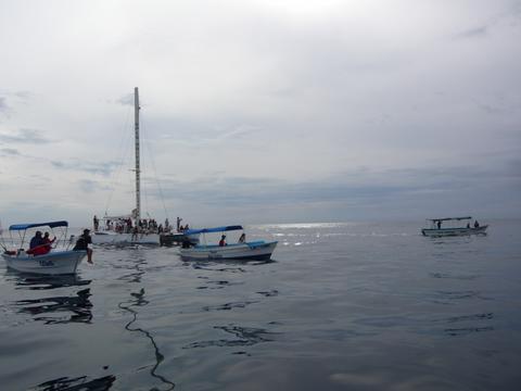 f0181488_1121538.jpg