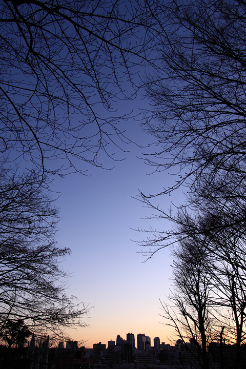 b0067789_1412913.jpg