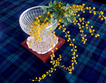 a0079292_15321846.jpg