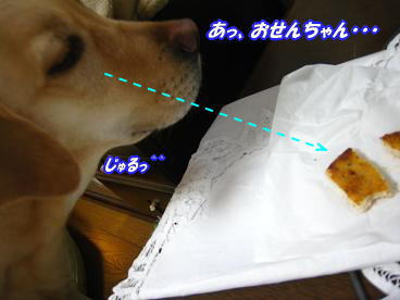 c0028792_2331115.jpg