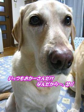c0028792_23313424.jpg