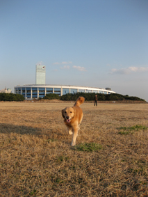 c0096393_22524030.jpg