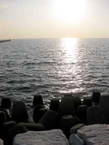 c0096393_2257411.jpg
