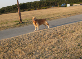c0096393_2331829.jpg