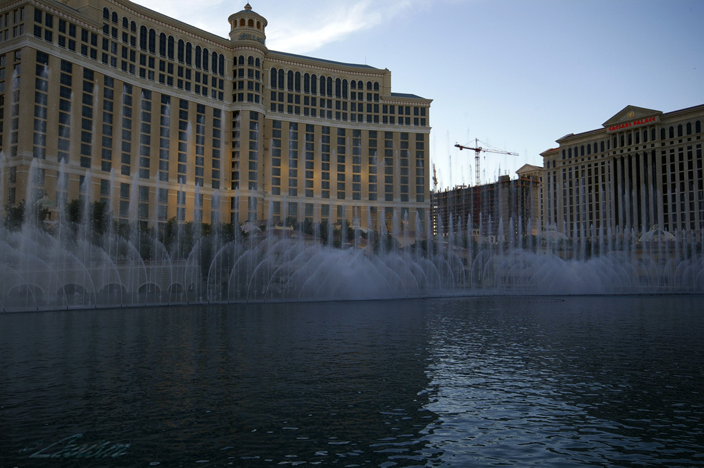 c0080101_15433287.jpg