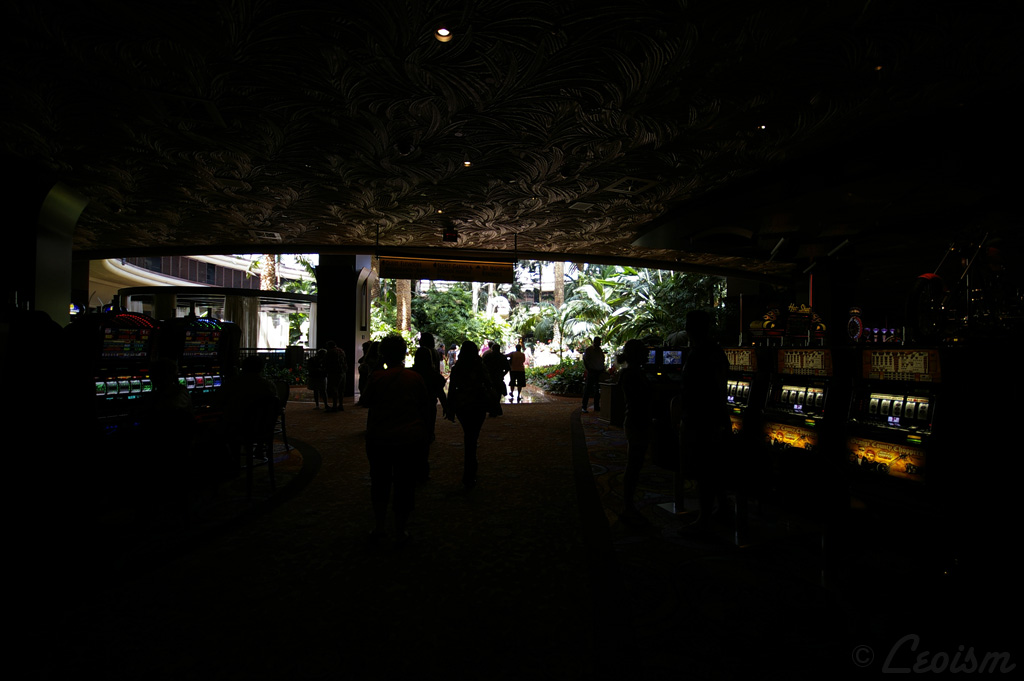 c0080101_1851856.jpg
