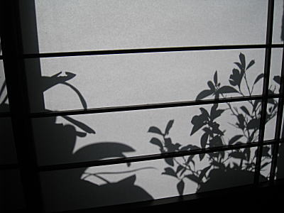 d0046702_19378100.jpg
