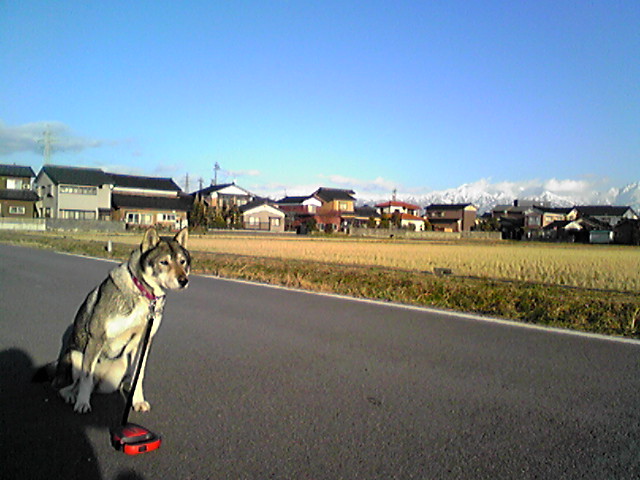 f0079202_1625763.jpg