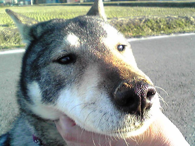 f0079202_162577.jpg