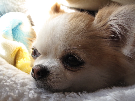 a0079803_230187.jpg